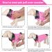 Cit toile Warm Dog Sweater - Turtleneck Knitting Pet Coat for Autumn/Winter | Stylish XL Pink Clothing for Small & Medium Pets - Buy Online on GoSupps.com