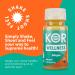 KOR Shots Ginger Cayenne Energy Boost Shot - 12 Pack x 1.7 Fl Oz - USDA Organic Wellness Shot - Buy Online on GoSupps.com
