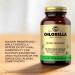Solgar Chlorella Capsules - 100 ct, Maximum Absorption, Non-GMO, Vegan, Gluten-Free, Kosher - 100 Servings - Buy Online on GoSupps.com