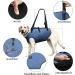 COODEO XL Dog Harness - Padded Breathable Support & Rehabilitation Belt for Pets with Joint Injuries | Adjustable Lifting Straps (Blue) - Buy Online on GoSupps.com