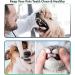YsCare Double Head Tartar Remover Set - Professional Dog Tooth Cleaner & Dental Care Tools | Stainless Steel Pet-Friendly - Buy Online on GoSupps.com