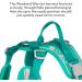 Hurtta Weekend Warrior Dog Harness for Medium Dogs - Peacock Turquoise (45-60 cm) | International Shipping Available - Buy Online on GoSupps.com