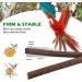 4 Natural Wood Bird Belt Rods with Rattan Balls - Budgie & Canary Cage Accessories | Vegena Nature Seat Rods Set - Buy Online on GoSupps.com
