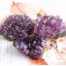 Natural Crystal Rough 1pc 60g-200g Natural Rough Amethyst Cluster Raw Geode Crystals Stone Suitable for Home Crystals - Buy Online on GoSupps.com