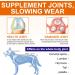 RSGRT Hip and Joint Supplements Chews for Dogs 150PCS Hip & Joint Care Tablets with Glucosamine Chondroitin Green-Lipped Mussels and Vitamins for Dog Joint Care (Duck Flavor) dog joint chews 150PCS - Buy Online on GoSupps.com