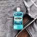 Buy LISTERINE Mouthwash 500 ml | Fast International Shipping - Fresh Breath & Oral Care - Buy Online on GoSupps.com