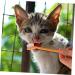 COSMEVIVI 10pcs Pet Toothbrush Pet Cleaning Toothbrush Cat Toothpaste Pet Toothpaste Dual-head Dog Puppy Nylon - Buy Online on GoSupps.com