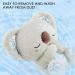 Relaxing Koala Plush Toy for Anxiety Relief | Light & Music | 23 cm Sleep Partner - Buy Online on GoSupps.com