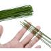 FOIMAS 18 Gauge Floral Stem Wire 100pcs - Paper Wrapped Florist Wire for Arrangements - Buy Online on GoSupps.com