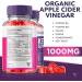(2 Pack) Ketology Keto + ACV Gummies 525mg (120 Gummies) - Advanced Weight Loss Supplement for Ketosis & Belly Fat - Ketologic Shark Tank Oprah Winfrey Approved - Buy Online on GoSupps.com
