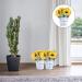 Yardenfun 1pc Simulated Sunflower Artificial Plants Metal Vases for Flowers Realistic Bonsai Adornment Display - Buy Online on GoSupps.com
