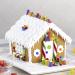 BIG Pre-Baked & Pre-Assembled Gingerbread House Kit - Christmas Fun Activity with Cookies, Candies, Icing, and Candy Cups Included - Buy Online on GoSupps.com