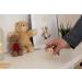 Chinchilla Milk Tooth Box - Maple Wood | Made in Germany | Perfect Gift for Baptism Schooling & Kindergarten | Children's Tooth Storage & Souvenir - Buy Online on GoSupps.com