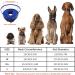 Yoolhamy Inflatable Dog Collar with Enhanced Anti-Licking Baffle | 2-in-1 Removable Cone for Small, Medium, Large Dogs | Soft Recovery Collar to Prevent Scratching | M+ Size - Buy Online on GoSupps.com