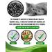 No Sweat Activated Carbon Cat Litter Odour Neutralizer-Made Of Coconut Shell-All Natural-No Chemical Toxic Ingredients-Unscented-Planet Friendly-Economy Pack-500 GR- Packing May Vary - Buy Online on GoSupps.com