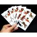 Premium Big Cat Tattoos - Lion, Cheetah, Tiger, Jaguar, Panther, Mountain Lion/Cougar - Buy Online on GoSupps.com