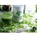 Matcia Therapy 90+ Bio Matcha Tea Powder 60g - Premium Grade Green Tea from Japan | 90mg/g EGCG Catechin | Boost Immunity & Energy - Buy Online on GoSupps.com