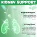 Frovetani Kidney Support for Cats - 2 Fl Oz. - Buy Online on GoSupps.com