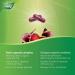 Nature's Way Beet Root Source of Antioxidant 100 Vegetarian Capsules - Buy Online on GoSupps.com