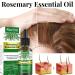 Buy Nourishing Rosemary Oil for Hair Growth | Natural Hair & Skin Care | Aromatherapy Essential Oil - Buy Online on GoSupps.com