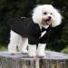 Cit toile Dog Wedding Suit Set | Formal Smoking Shirt for Small Medium & Large Dogs | Party & Halloween Outfit in Black - Buy Online on GoSupps.com
