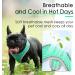 Thinkpet No-Pull Dog Harness & Leash Set - Breathable Adjustable Safety Harness for Small Medium & Large Dogs - Padded Reflective Green (1 Pack) - Buy Online on GoSupps.com