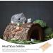 Scicalife Wood Hamster Ladder & Climbing Toys - 12cm Rabbit Bridge & Bird Playground Swing - Buy Online on GoSupps.com