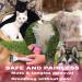 2-in-1 Pet Dematting Comb for Cats & Dogs - Safe Grooming Tool for Mats & Tangles - Medium to Long Haired Pets - Pink - Buy Online on GoSupps.com