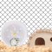OhhGo Hamster Running Wheel 8. 3 Inches Quiet Spinner Exercise Wheel for Small Pet Hamsters Mice - Buy Online on GoSupps.com