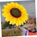 Gadpiparty 2pcs Holding Sunflower in Hand Children Playthings Sunflower Shaped Cloth Sunflower Head Ornaments - Buy Online on GoSupps.com