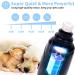 Claw Grinder for Dogs & Cats - LED Nail Mill Quiet & Powerful Pet Nail Clippers with 2 Wheels - Buy Online on GoSupps.com