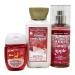 Bath & Body Works Winter Candy Apple Travel Gift Bag Set - Fine Fragrance Mist Body Lotion & Hand Gel | Perfect Holiday Gift - Buy Online on GoSupps.com