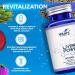 Vital-J Empowering 21-in-1 Liver Support Supplement Liver Cleanse Detox & Repair - W/Milk Thistle Zinc Beetroot & Artichoke Choline & Dandelion Root for Digestion & Immunity - 60 Capsules - Buy Online on GoSupps.com