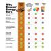 Braven Bar Chocolate Energy Bars (1.59 oz, Pack of 10) Energy Chews with 5g Protein On-the-Go Energy Snacks for Running, Hiking, and Sports - Gluten Free Snacks for Sustained Energy Boost - Buy Online on GoSupps.com
