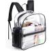 Fomaris Mini Clear Stadium Approved Backpack 12x12x6 (Black) - Small Transparent Plastic Backpack for Sports Events & Concerts - Buy Online on GoSupps.com