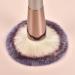 18 Pieces Makeup Brush Set - Essential Beginner Cosmetic Tools for Eyeshadow Blush & Eyelashes | International Shipping - Buy Online on GoSupps.com