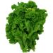 1.4g Organic Southern Giant Curled Mustard semi 10ct Zesty Vegetables - Buy Online on GoSupps.com
