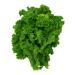 1.4g Organic Southern Giant Curled Mustard semi 10ct Zesty Vegetables