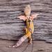 WEBEEDY 2 Sets Bearded Dragon Lizard Harness Leash 3 Size Pack Leather Adjustable Dinosaur Wing Lizard Harness Leash for Bearded Dragon Lizard Reptiles Safety Outdoor Walking - Buy Online on GoSupps.com