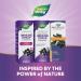 Nature's Way Sambucus Elderberry Syrup - 8 fl oz | Immune Support & Antioxidants - Buy Online on GoSupps.com