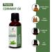 Cornmint Oil (Mentha Arvensis) - 100% Pure Natural Essential Oil - Therapeutic Grade - 0.33 FL.OZ (1 Pack) - International Shipping Available - Buy Online on GoSupps.com