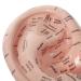 DOITOOL Ear Acupuncture Model - Professional Reflexology Learning Display & Lab Supplies for International Shipping - Buy Online on GoSupps.com