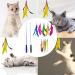Fousenuk 12-Pack Cat Toys - Extendable Fishing Rod with Springs for Intelligent Play - 31cm to 83cm - Perfect for Cat Employment - Buy Online on GoSupps.com