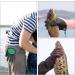 Jinxian Waterproof Fishing Gloves - Stab-Resistant Anti-Cut with Magnetic Buckles for Safe Pike & Zander Handling - Best Fishing Accessories - Buy Online on GoSupps.com