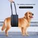 Dog Hip Joint Lifting Assist with Autumn and Winter Black Adjustable Handle Length Suitable for Elderly Disabled Dogs for Assisted Rehabilitation Use Black S - Buy Online on GoSupps.com