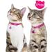 Taglory Reflective Cat Collar with Safety Clasp & Bell - Adjustable 2-Pack for Kittens & Cats (19-32cm) - Hot Pink - Buy Online on GoSupps.com