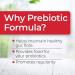 Health Plus Prebiotic Formula - Probiotics, Digestive Enzymes, Gluten & Dairy Free - 180 Capsules - Buy Online on GoSupps.com