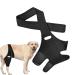 Dog Knee Brace - Dog Hip Knee Leg Brace | Dog Rear Leg Braces |Dog Elbow Protector with 10 Support Sticks | Dog Back Leg Support Brace | Comfortable Hip and Leg Protector for Senior and Disabled Dogs