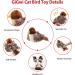 Gigwi Interactive Cat Toy - Real Chirping Bird Sound | Feather & Plush Design for Indoor Cats | Relieves Boredom - Buy Online on GoSupps.com