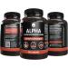 Alpha GPC 365 Capsules - Pure Original Ingredients, Lab Verified, No Fillers - 365 Servings - Buy Online on GoSupps.com